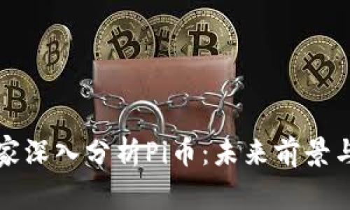 区块链专家深入分析Pi币：未来前景与投资价值