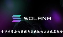 比特币下跌背后的原因与区块链的未来发展趋势