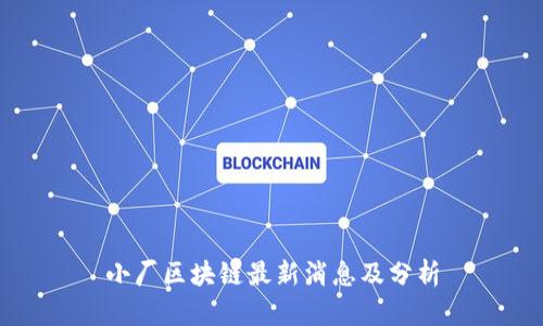 小厂区块链最新消息及分析