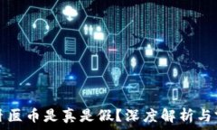   区块链牙医币是真是假？深度解析与前景分析